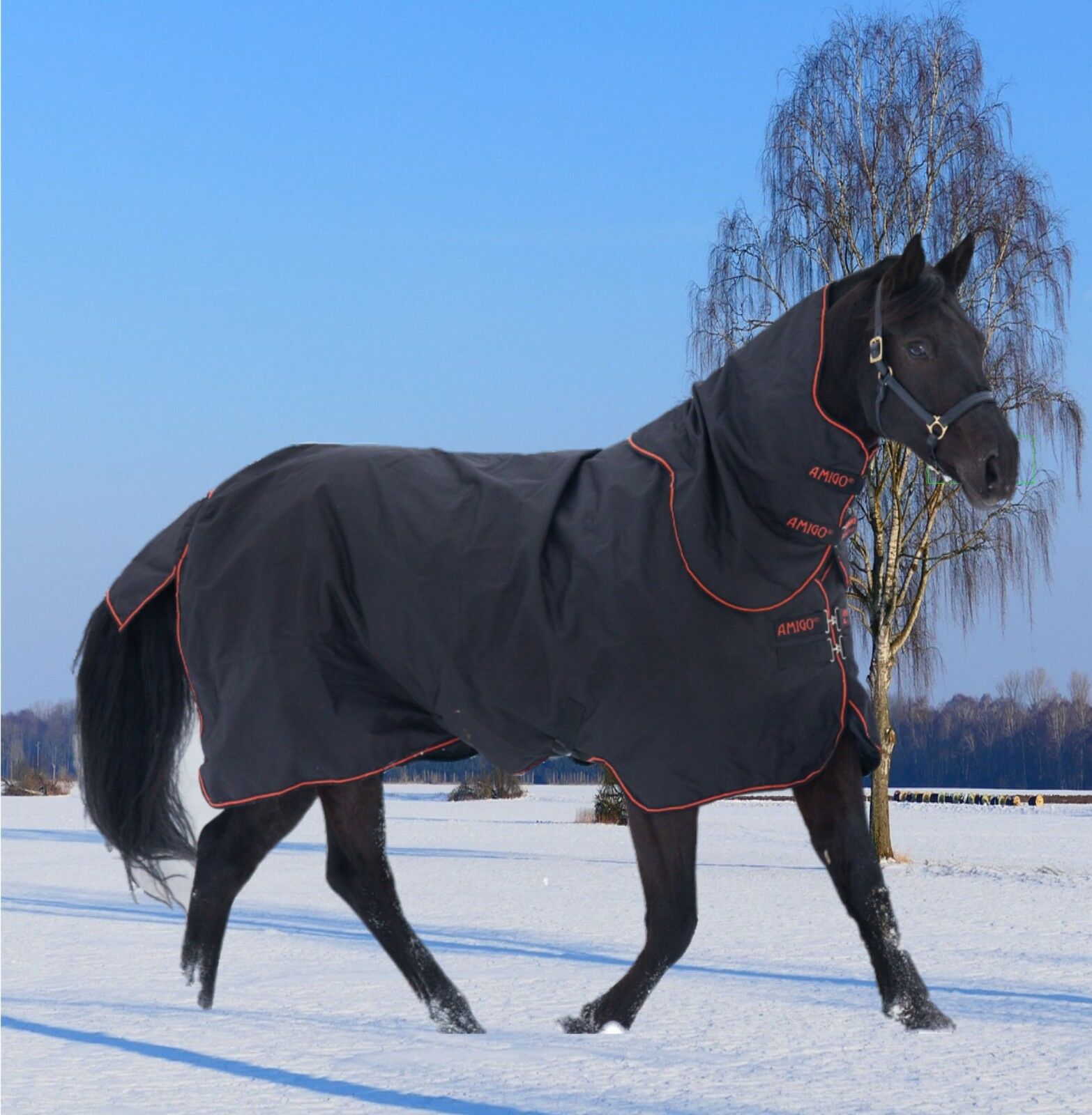 Horseware Amigo Bravo Plus medium, 250g, mit Hals, schwarz